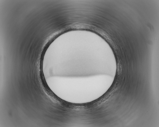 X0000111610438200908281054