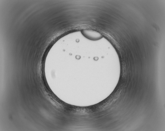X0000111610439200908281054