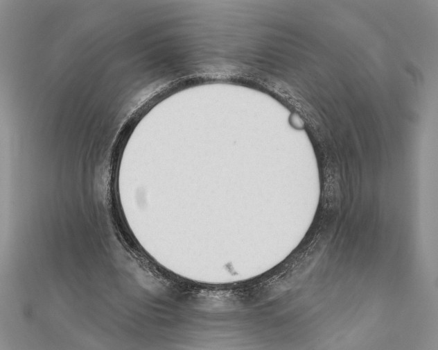 X0000111610440200908281054