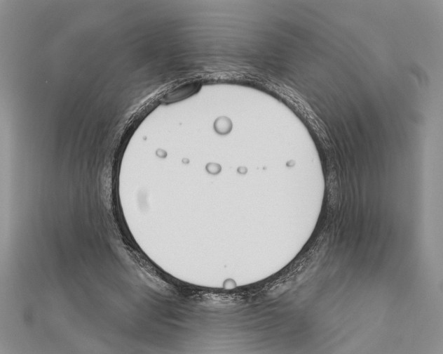 X0000111610442200908281054