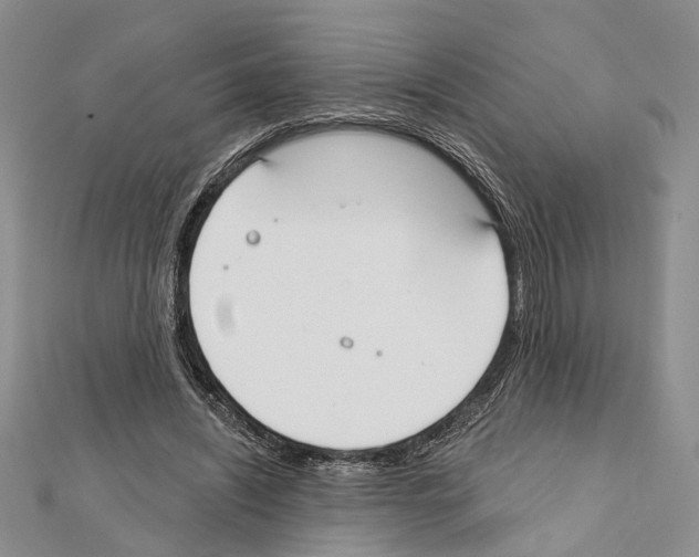 X0000111610444200908281054