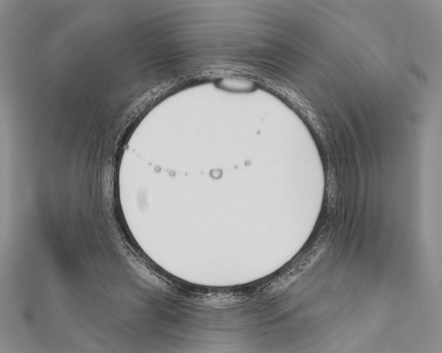 X0000111610445200908281054