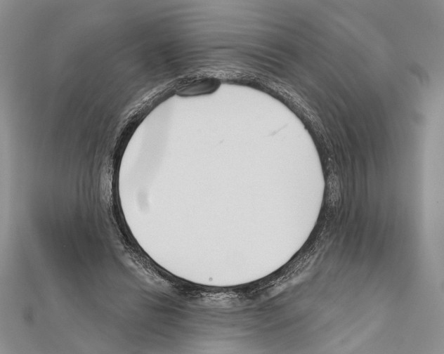 X0000111610446200908281054