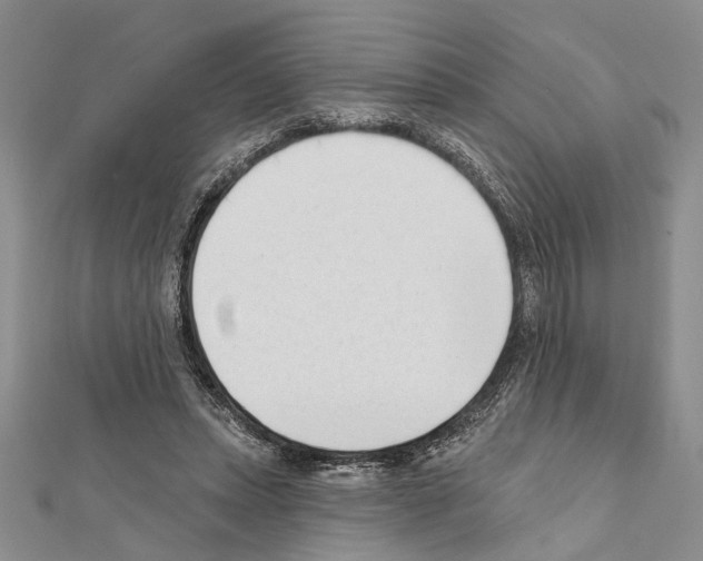 X0000111610447200908281054