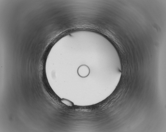 X0000111610448200908281054