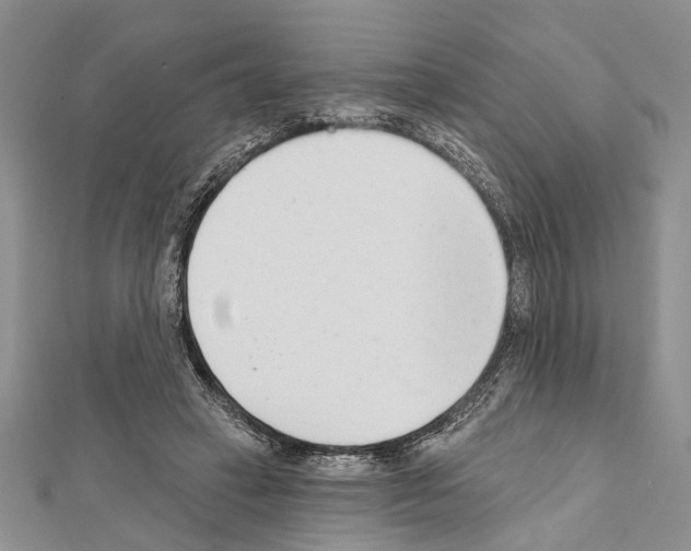 X0000111610449200908281054