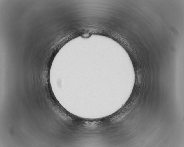 X0000111610450200908281054