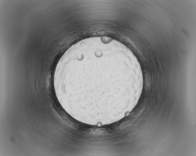 X0000111610451200908281054
