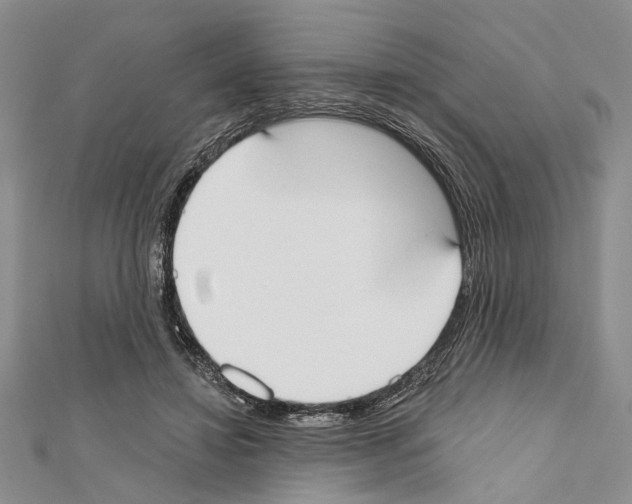 X0000111610452200908281054