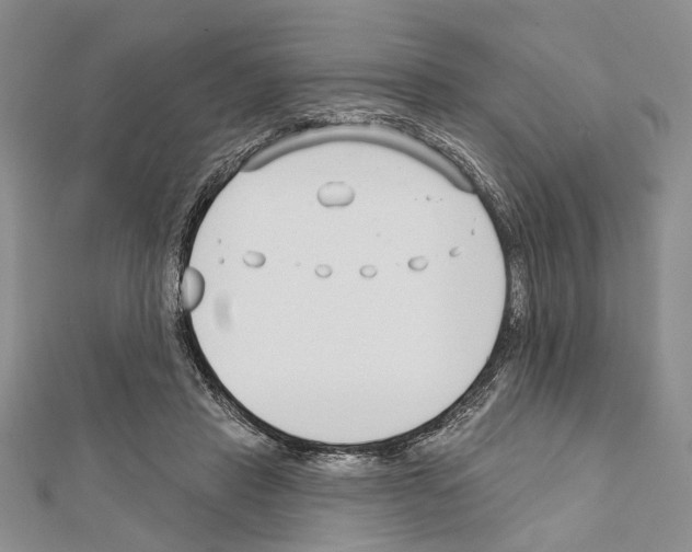 X0000111610453200908281054