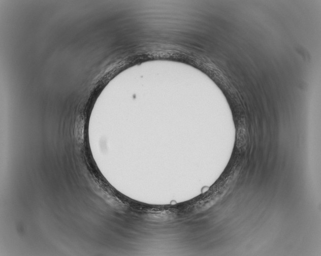 X0000111610454200908281054