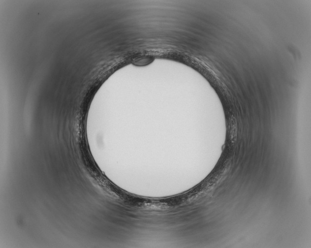 X0000111610455200908281054