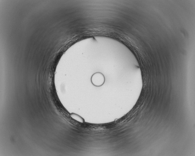 X0000111610456200908281054