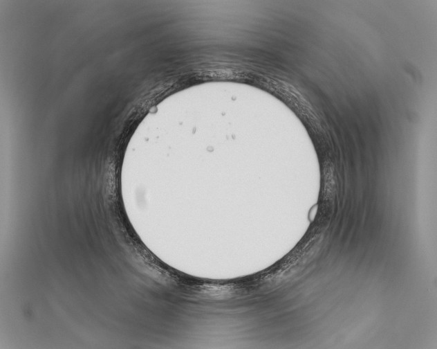 X0000111610457200908281054
