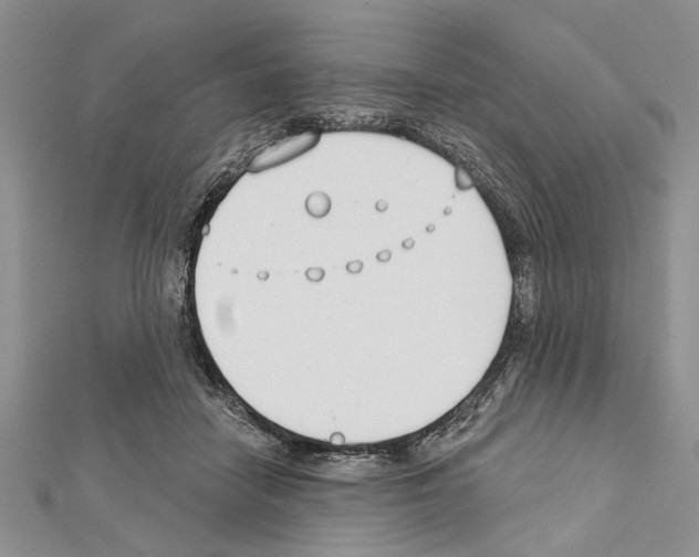 X0000111610458200908281054
