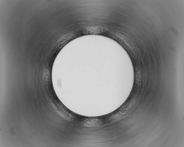 X0000111610459200908281055