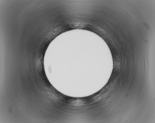 X0000111610460200908281055