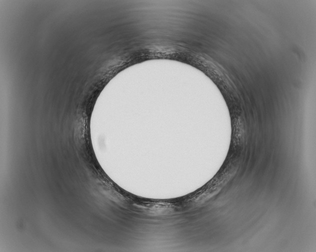 X0000111610463200908281055