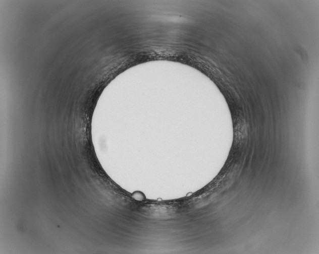X0000111610464200908281055