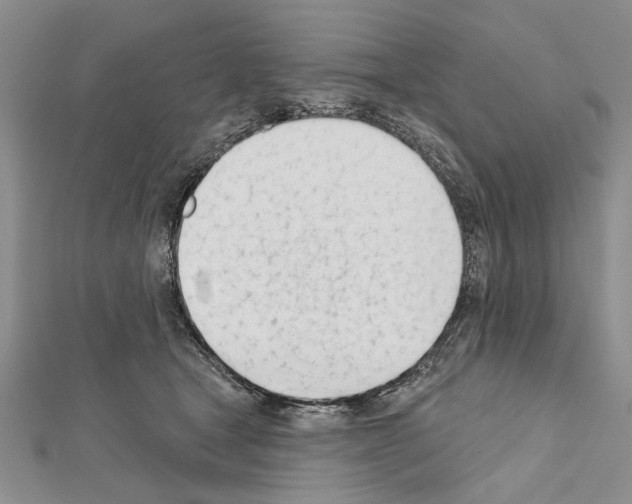 X0000111610465200908281055