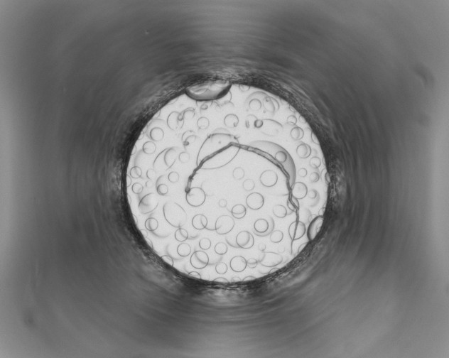 X0000111610466200908281055