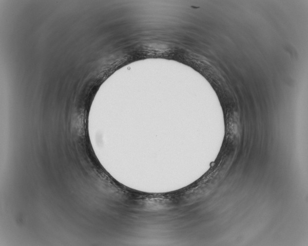 X0000111610468200908281055