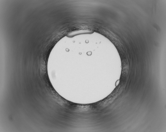 X0000111610469200908281055