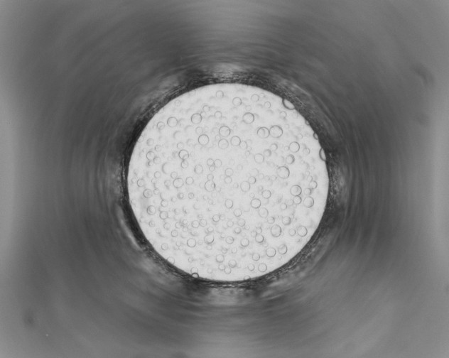 X0000111610470200908281055