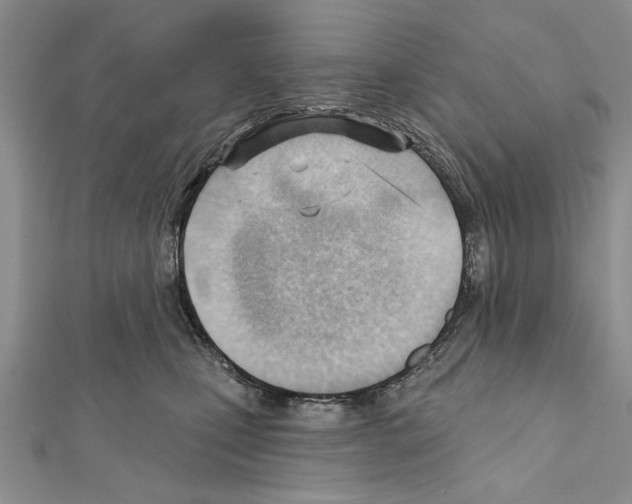 X0000111610471200908281055