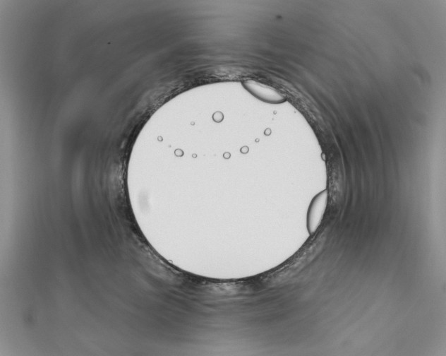 X0000111610473200908281055