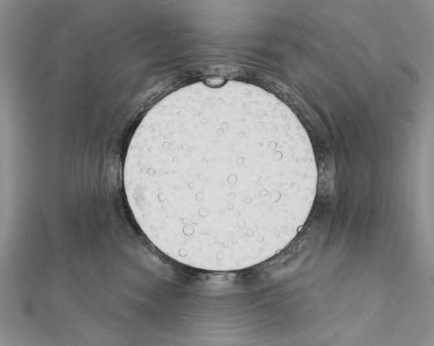 X0000111610474200908281055