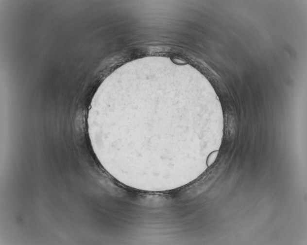 X0000111610475200908281055
