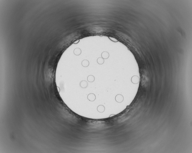 X0000111610476200908281055