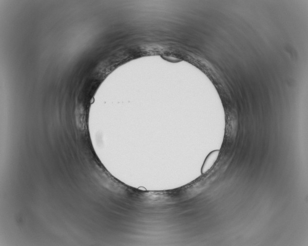 X0000111610477200908281055