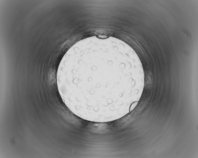 X0000111610478200908281055