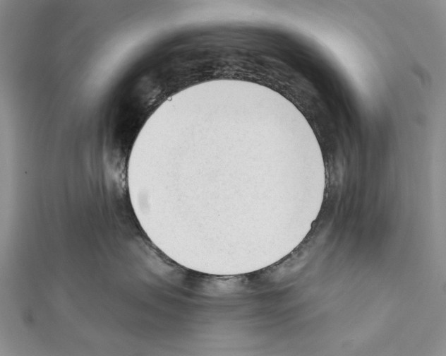 X0000111610479200908281055