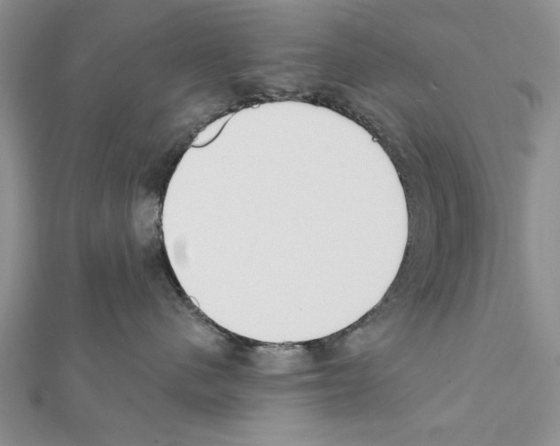 X0000111610480200908281055