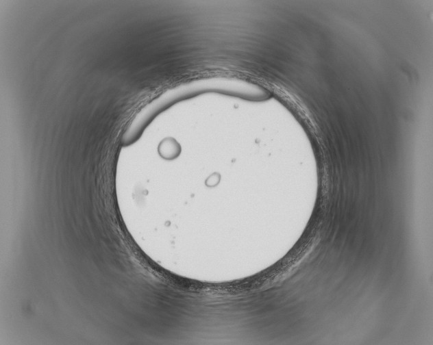X0000111610481200908281054