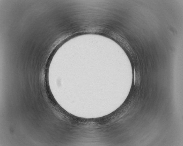 X0000111610483200908281054