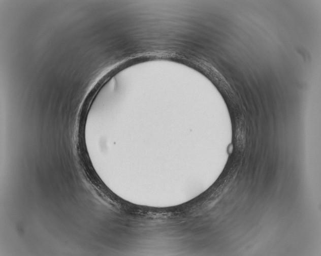 X0000111610484200908281054