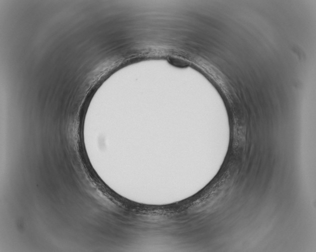 X0000111610485200908281054
