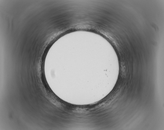 X0000111610487200908281054