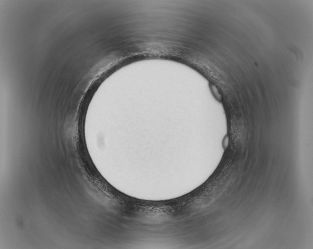 X0000111610488200908281054