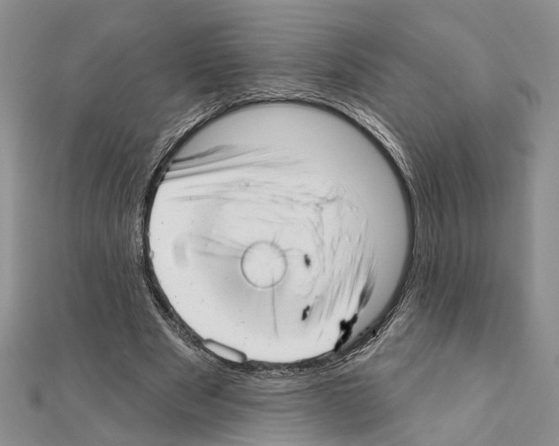 X0000111610489200908281054
