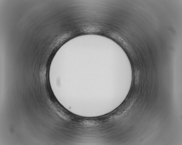X0000111610490200908281054
