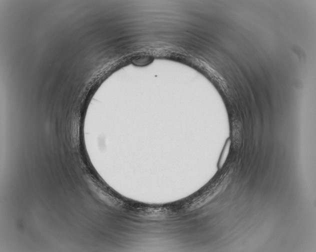X0000111610493200908281054