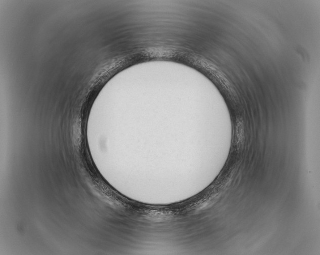 X0000111610494200908281054