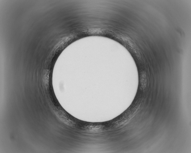 X0000111610495200908281054