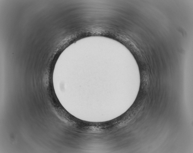 X0000111610496200908281054
