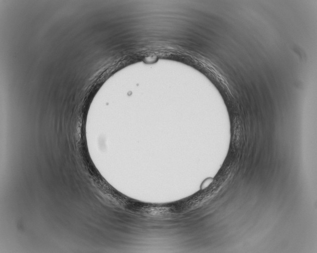 X0000111610501200908281054
